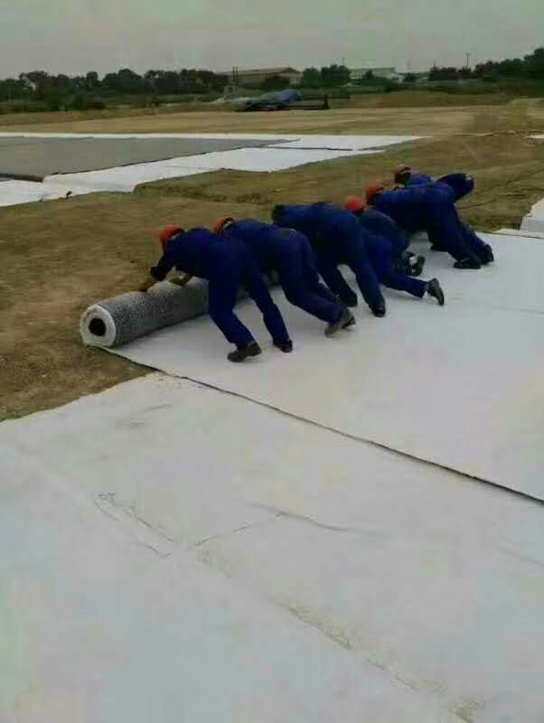 3mmhdpe土工膜生产