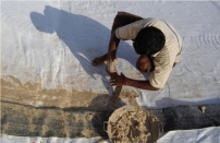 200克轨道土工布多少钱