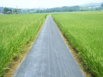 100g生产土工布多少钱