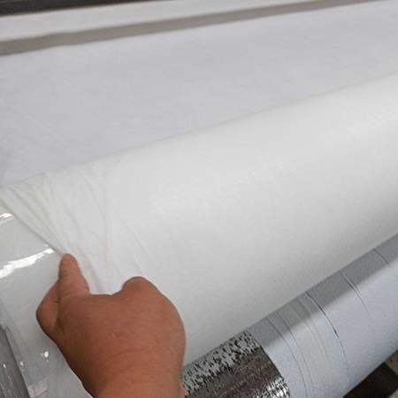 06mm氧化池防渗膜