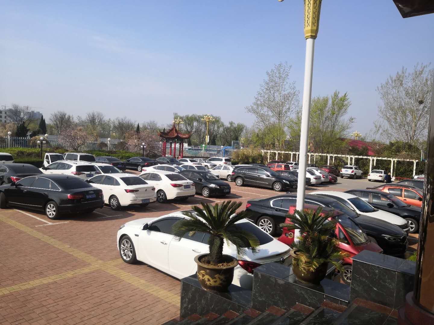 300g养护土工布表