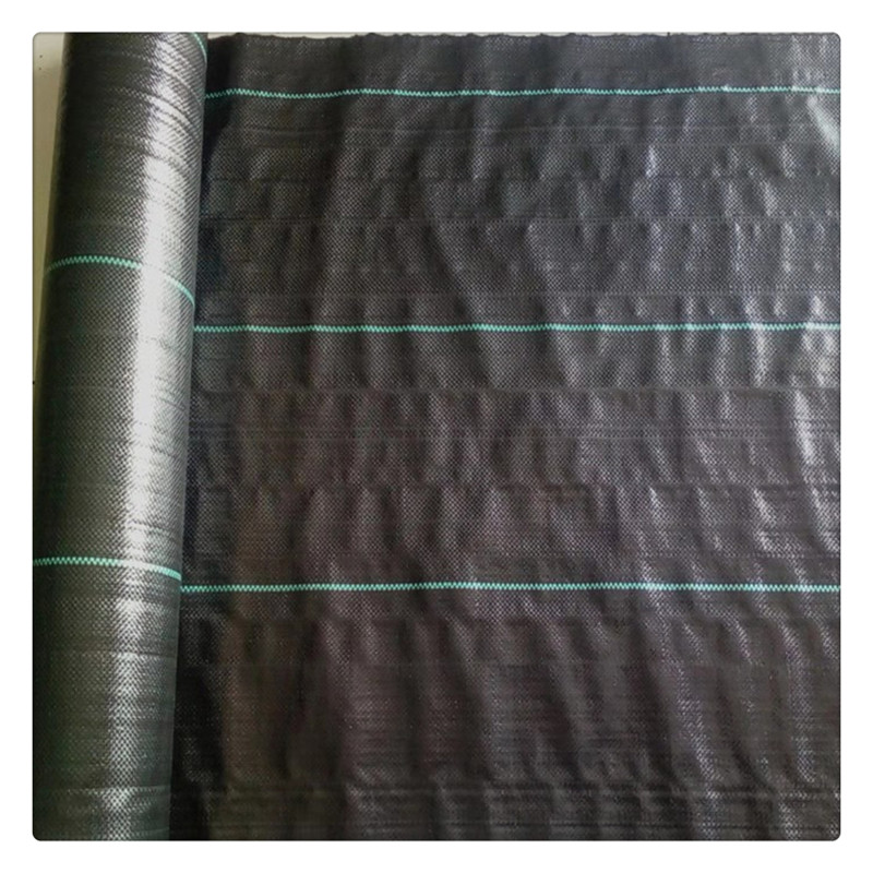 2mm土工膜袋价格